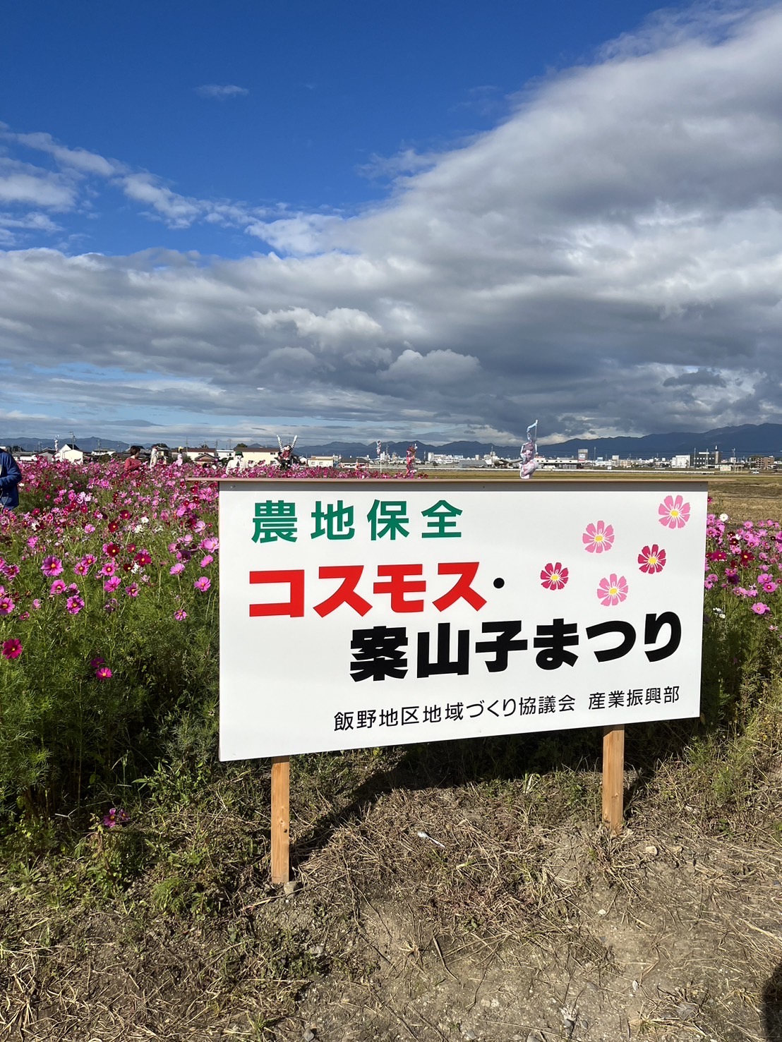 コスモスかかし祭りの会場