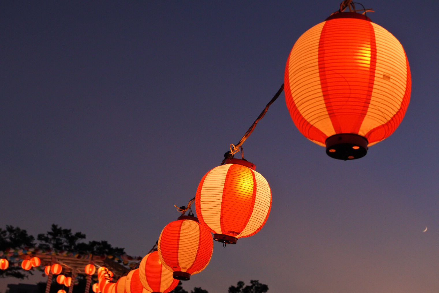 たくさんの提灯