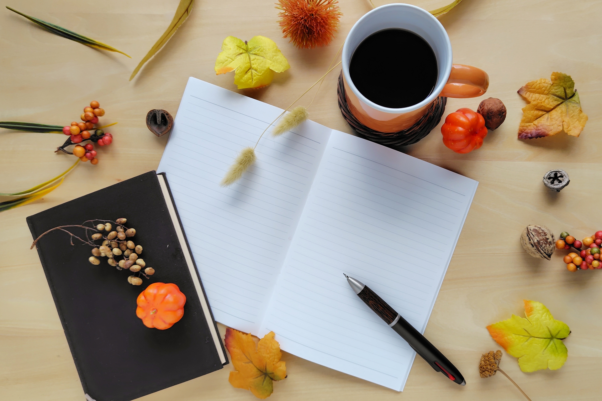 秋の学習イメージ